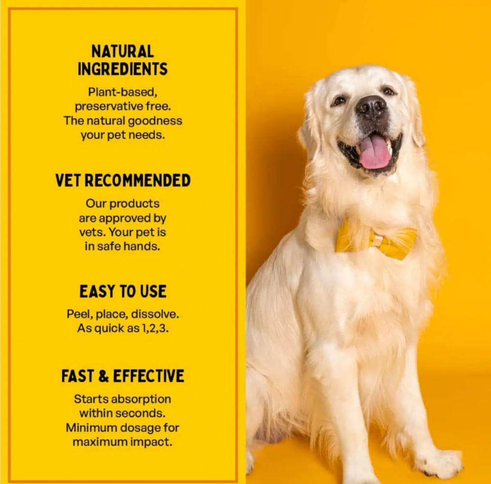 Furlicks Skin & Coat Oral Supplement for Dogs & Cats ( pack of 20 ) Free Delivery All Pakistan